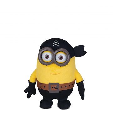 Pirate minion